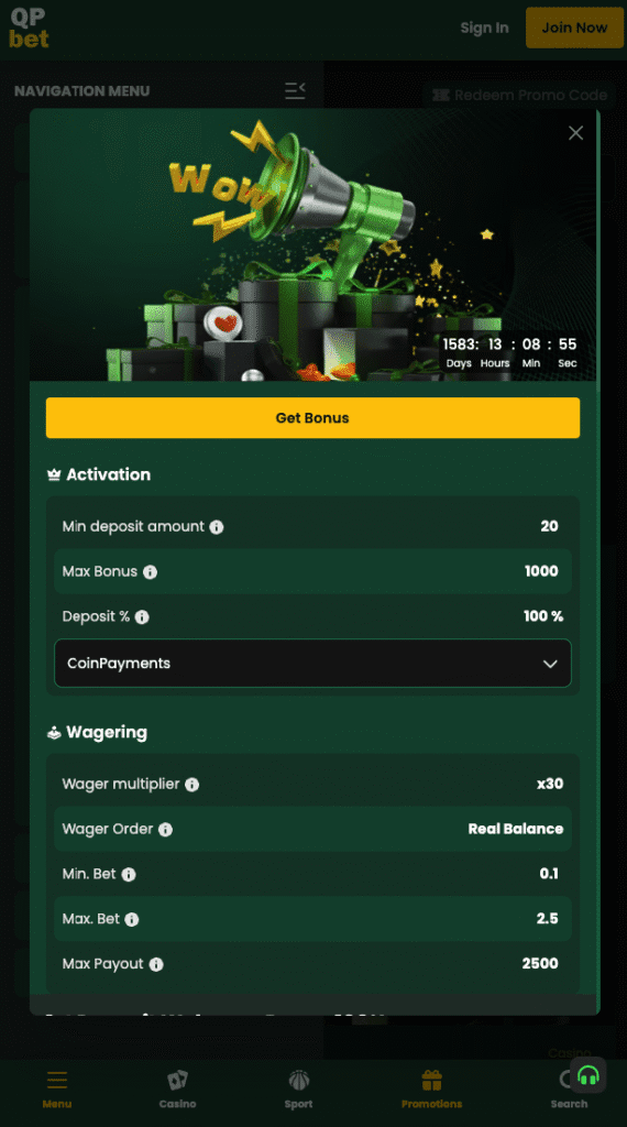Screenshot of QPBet's 100% up to 1000 USD welcome bonus offer with wagering terms and provider list.